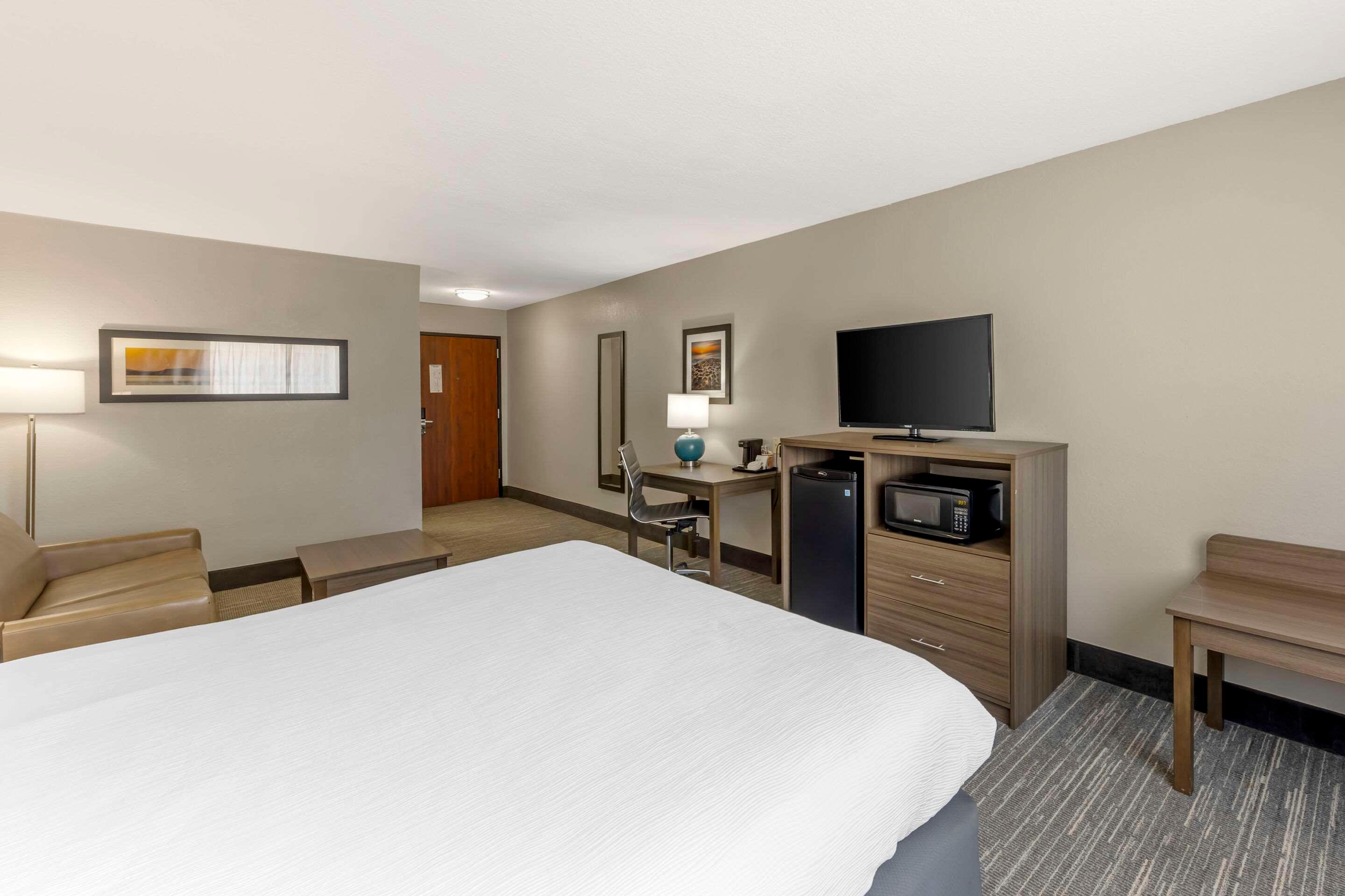 Suite, King Bed