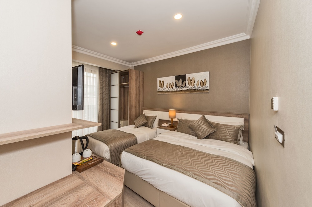 Alphonse Hotel 19/50
