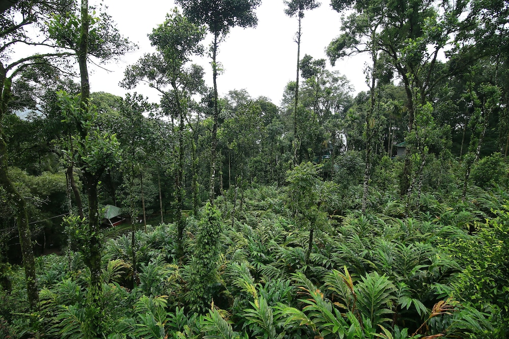 Spice Jungle Resort 47/58