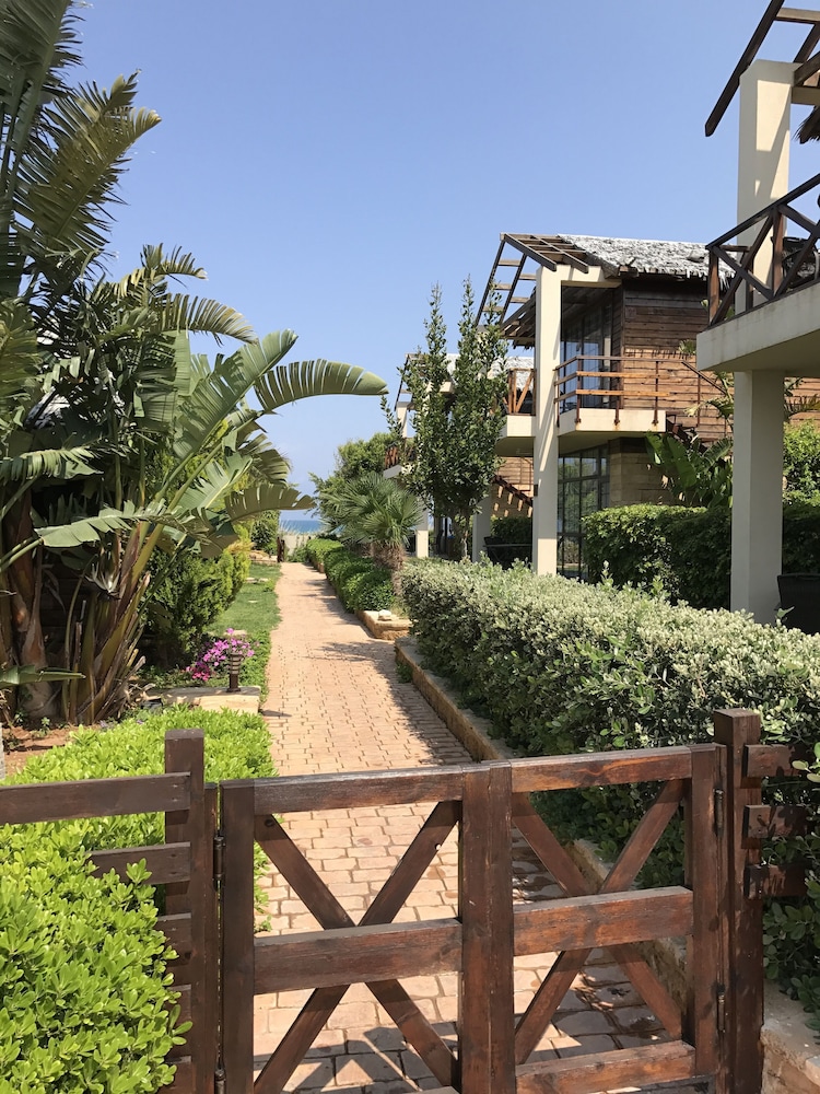 Turquoise Beach Resort Tyre 39/50