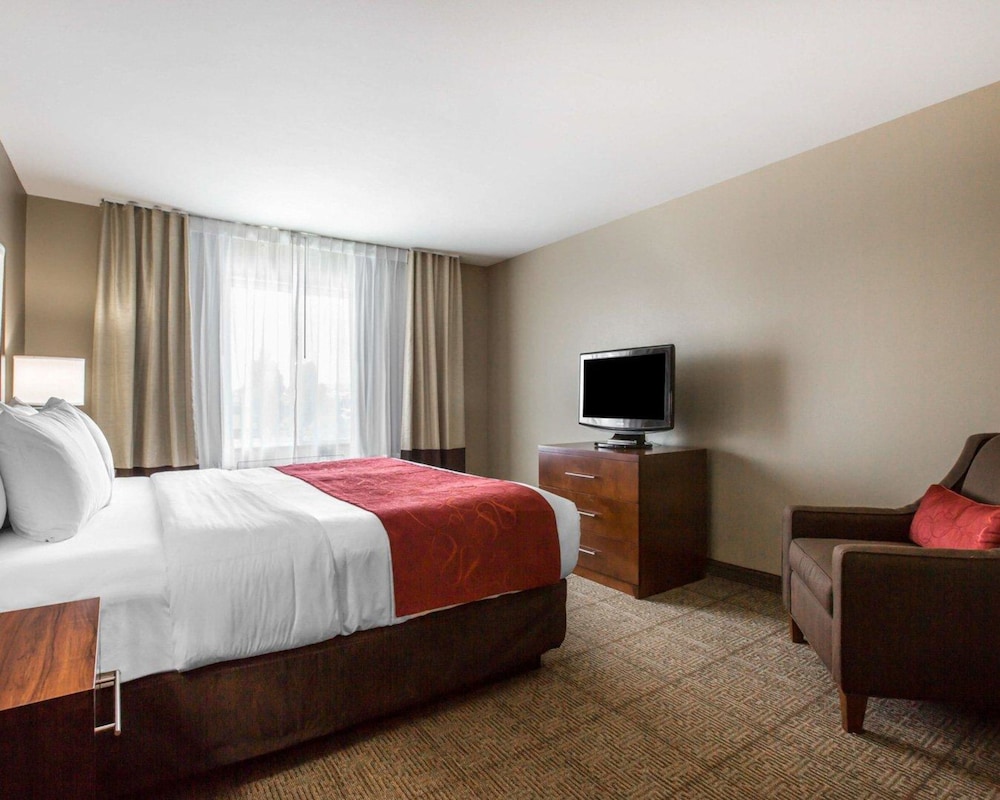 Comfort Suites Victorville-Hesperia 21/56
