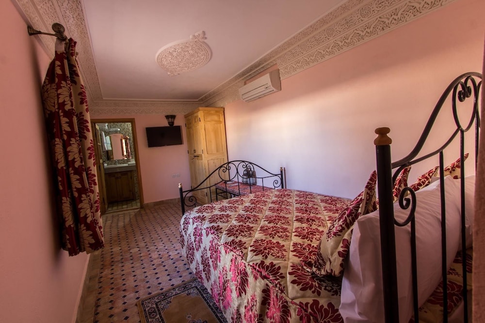 RIAD TARYANA 13/53
