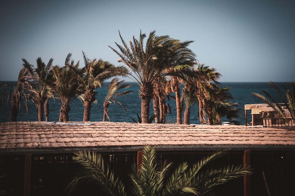 Ananea Hurghada 44/50