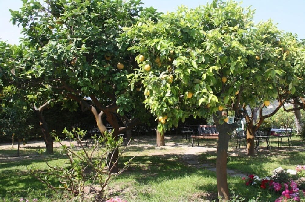 Hotel Villa Tre Sorelle 39/50
