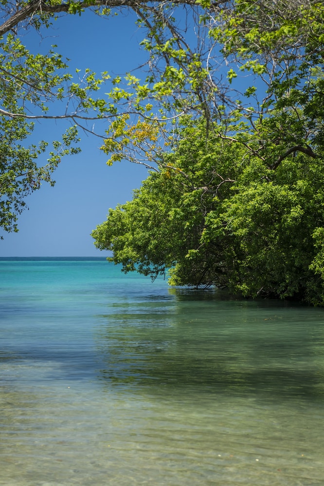 Hotel Coralina Island 26/50