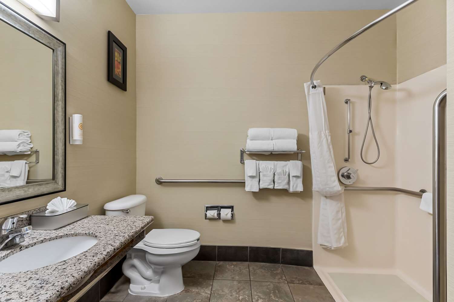 Business, Suite, King Bed, Accessible, Comfort Suites Denver Tech Center 2/2