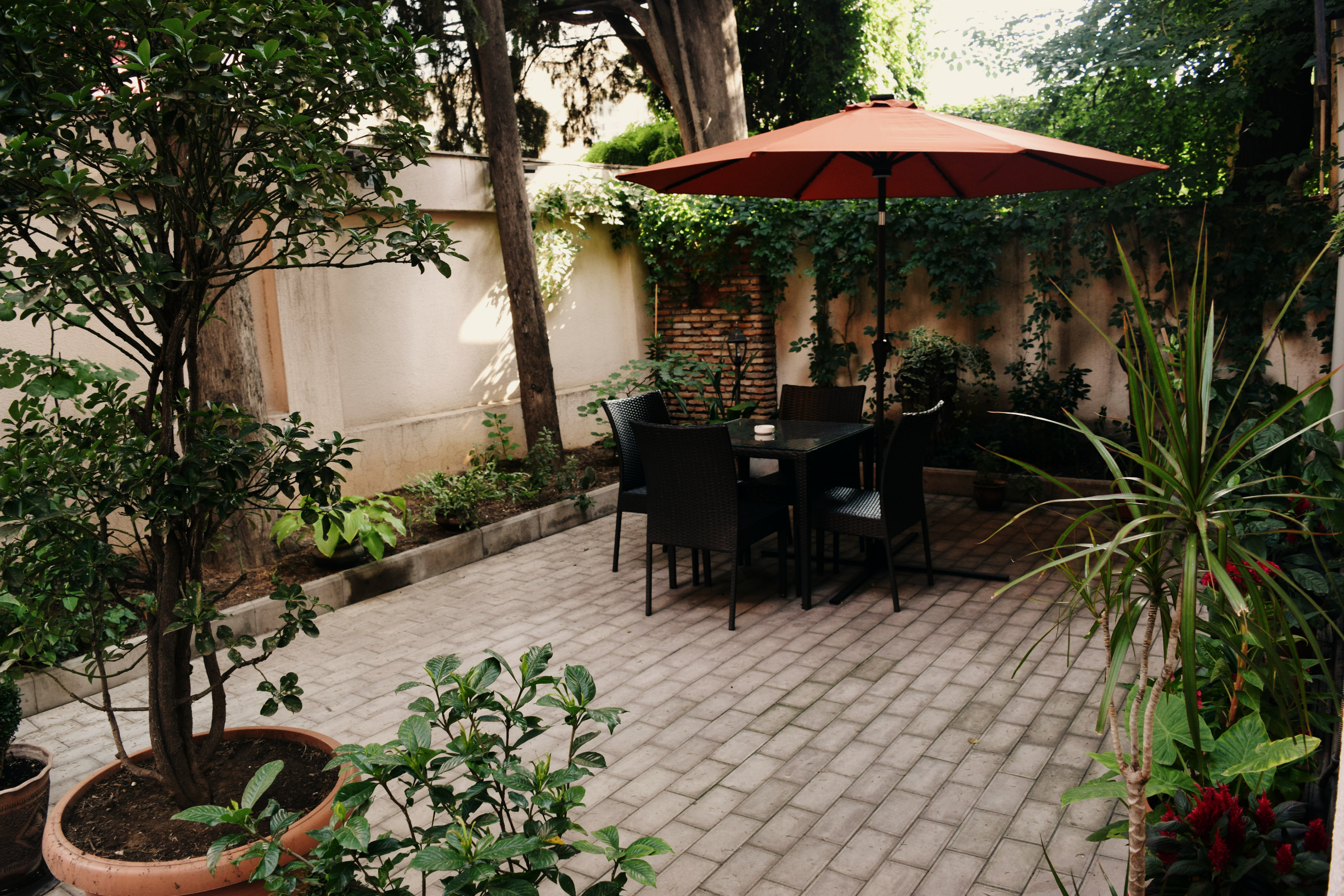Darchi Hotel 30/36