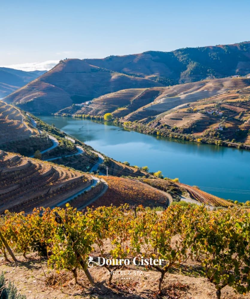 Douro Cister Hotel Resort Rural And Spa 16/20
