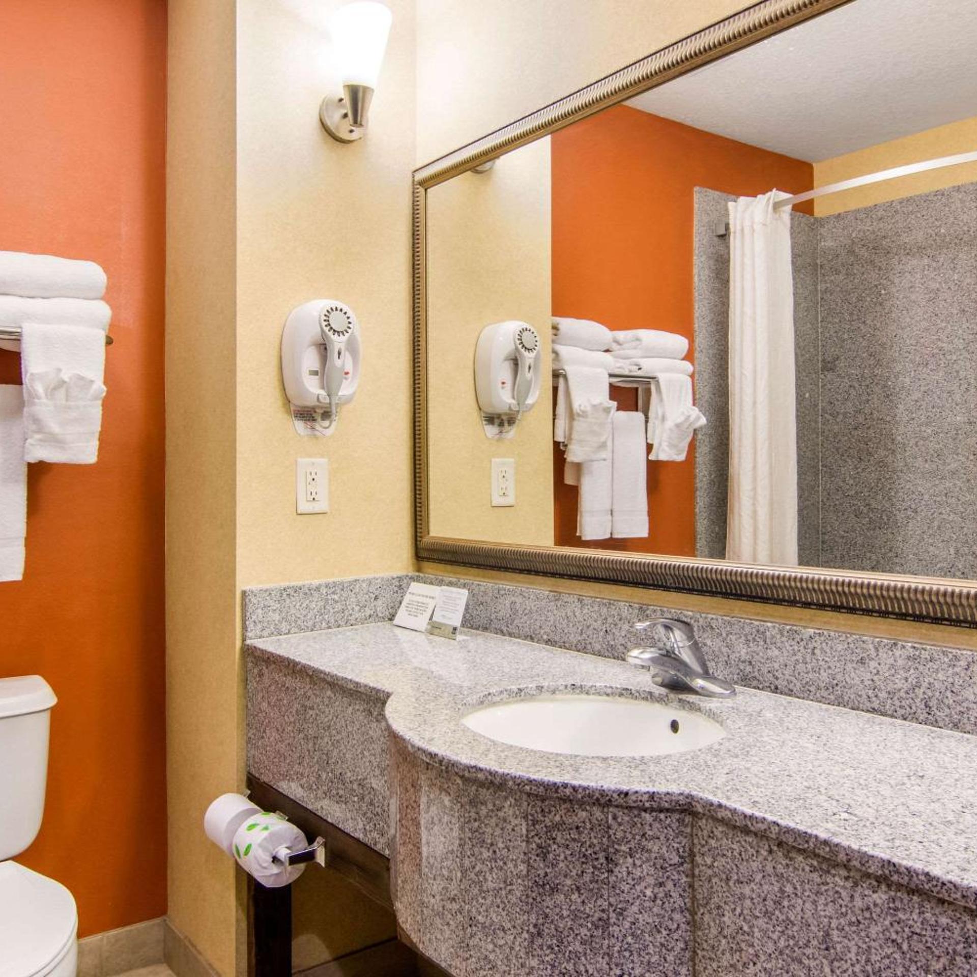 Room, King Bed, Pet Friendly, Sleep Inn & Suites Athens South 6/7