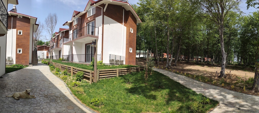 Yildiz Country 26/49
