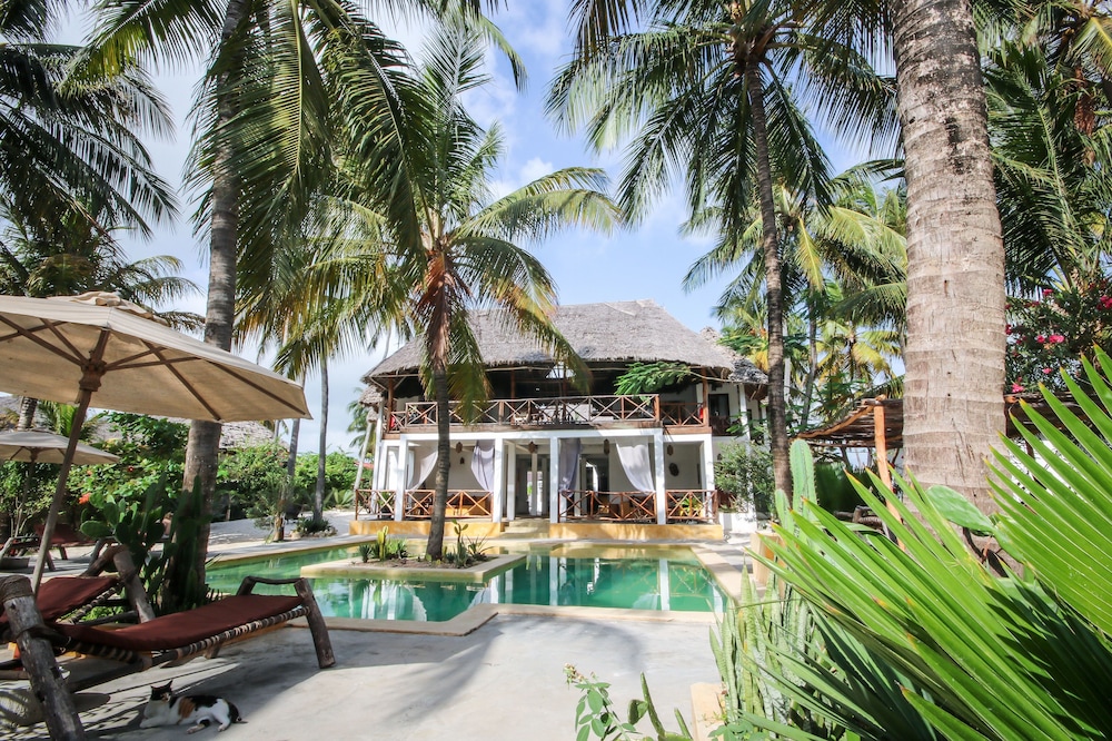 Sahari Zanzibar 79/81