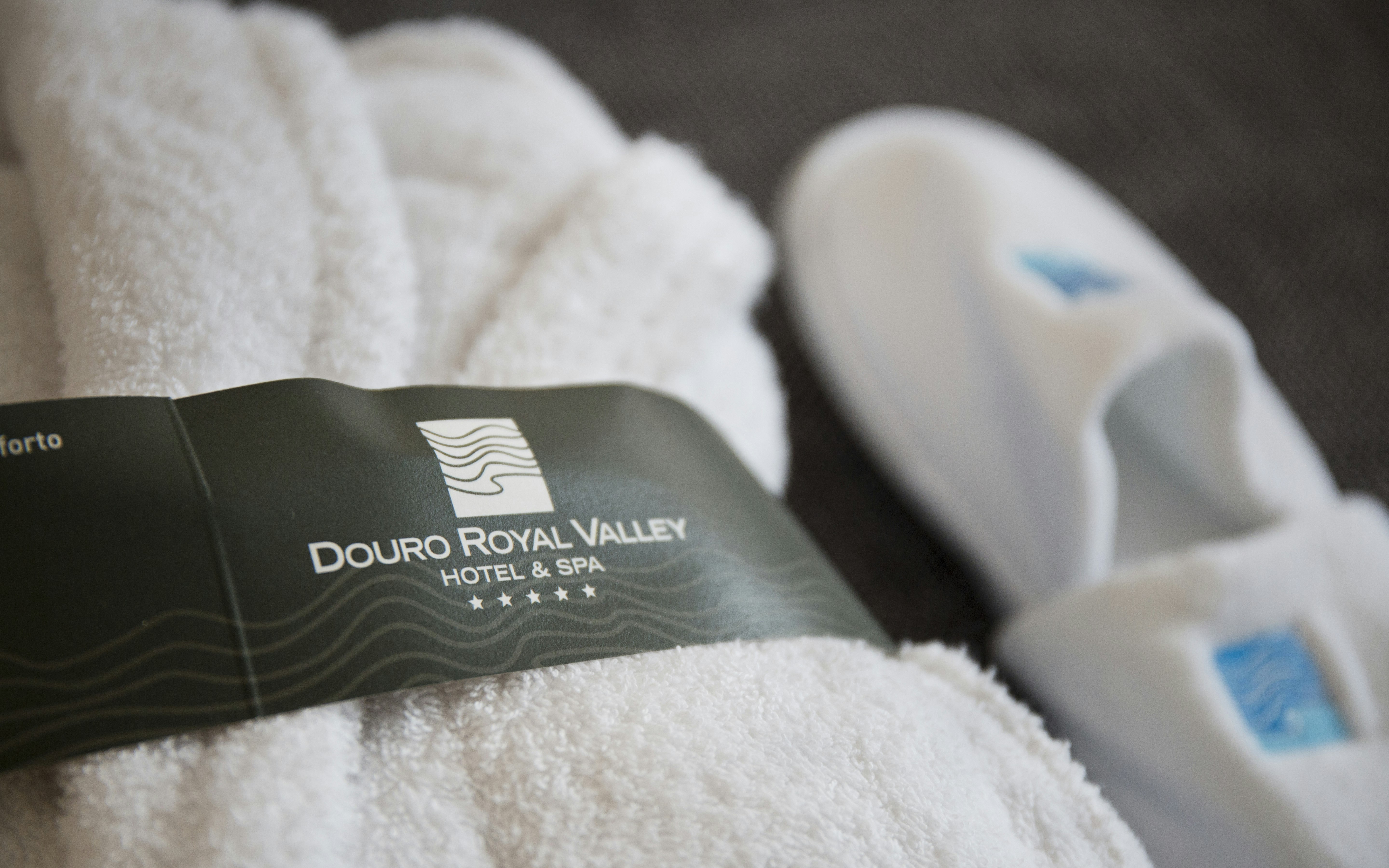 Douro Royal Valley Hotel Spa 13/50