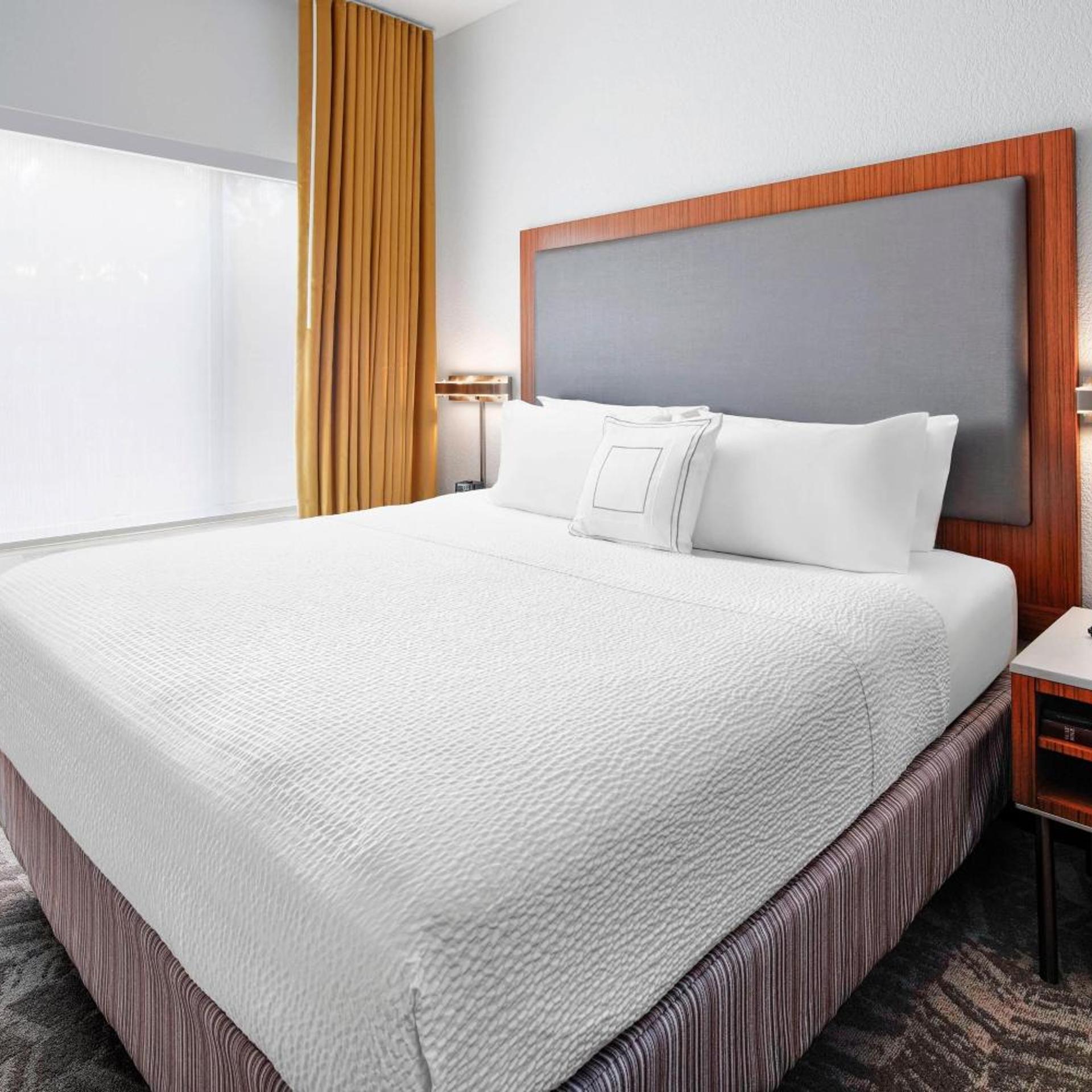 جناح بسرير كينج بإطلالة على الجبل مع سرير سحّاب إضافي مع أريكة