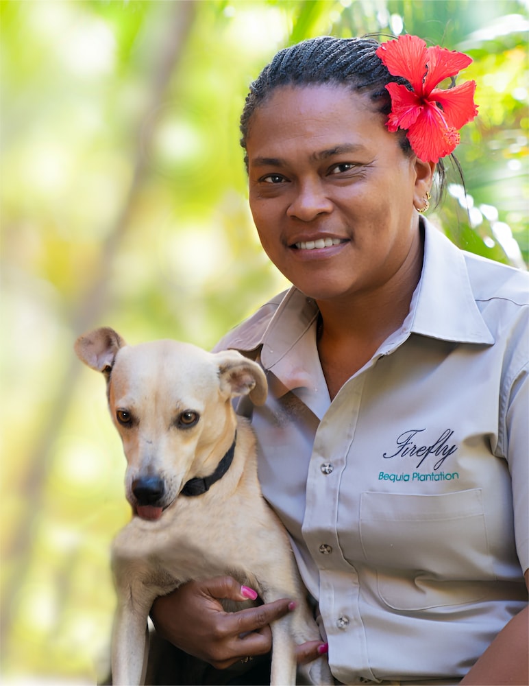 Firefly Plantation Bequia 10/50