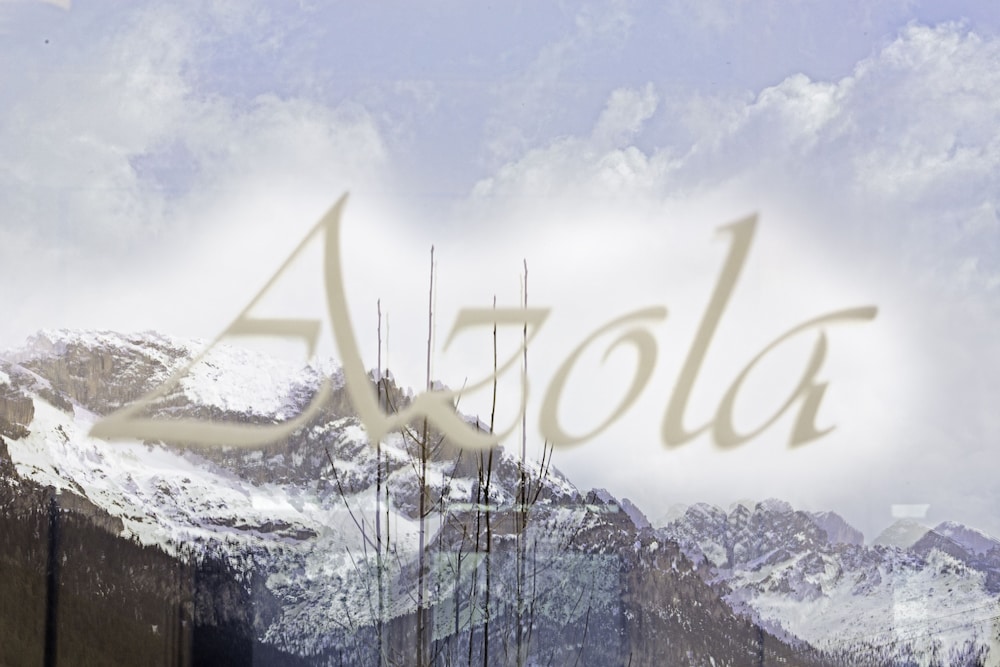 HOTEL AZOLA 42/50