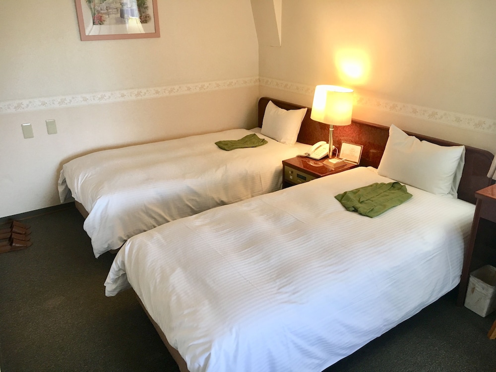 Ueno Terminal Hotel 10/53