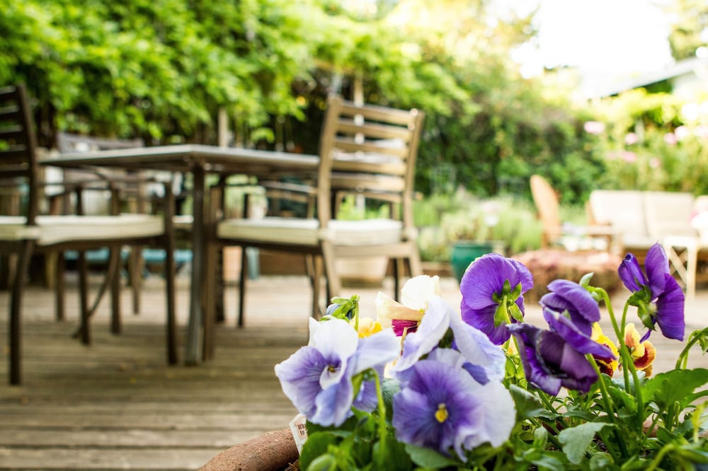 Oak Hill Bed & Breakfast 38/50