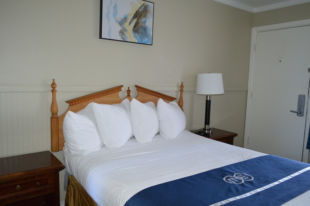Omeo Suites Glass Beach 15/50