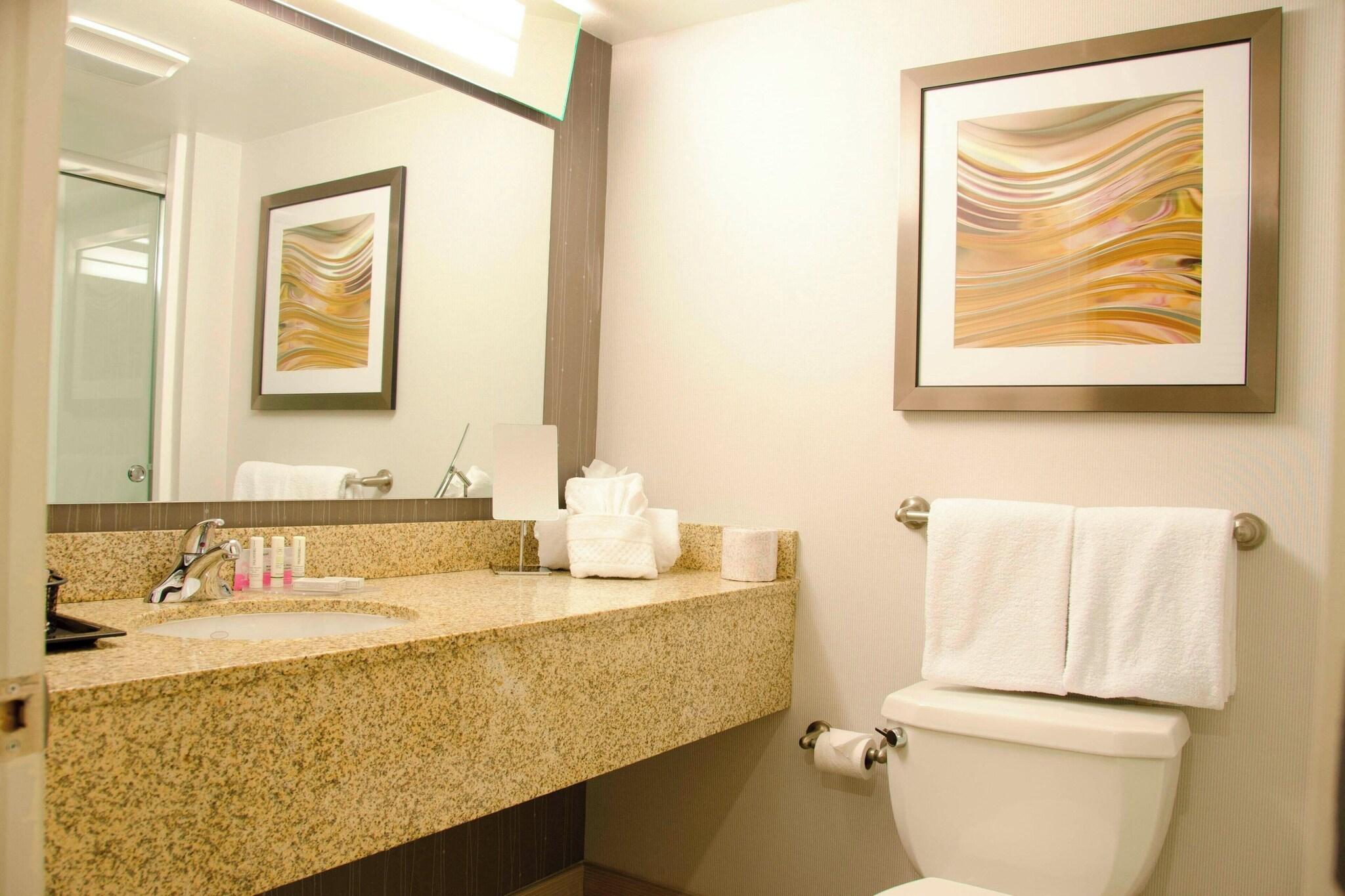 غرفة بسرير مزدوج لذوي الإعاقة، Courtyard By Marriott Waterbury Downtown 3/3