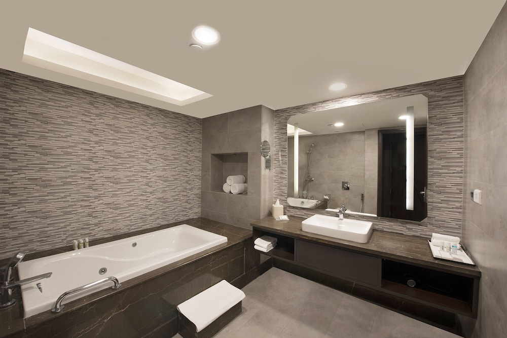 Hilton Garden Inn New Delhi Saket 28/66