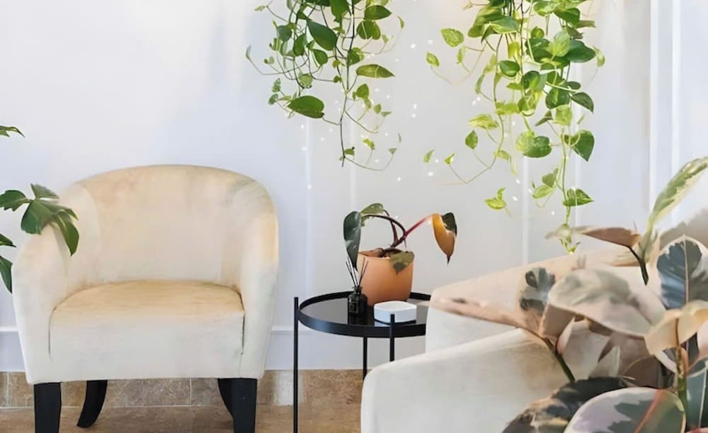 Ivy Luxury Hotel & Apartment 12/55