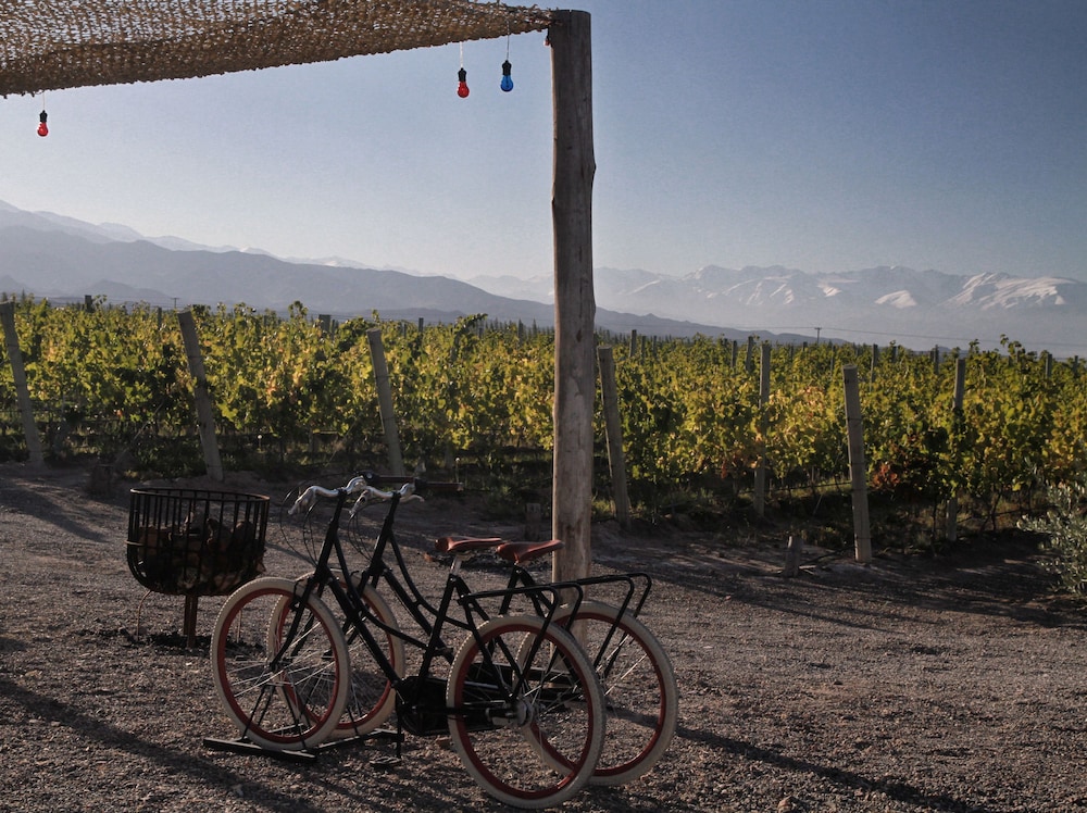 Casa de Uco Vineyards Wine Hotel 25/74