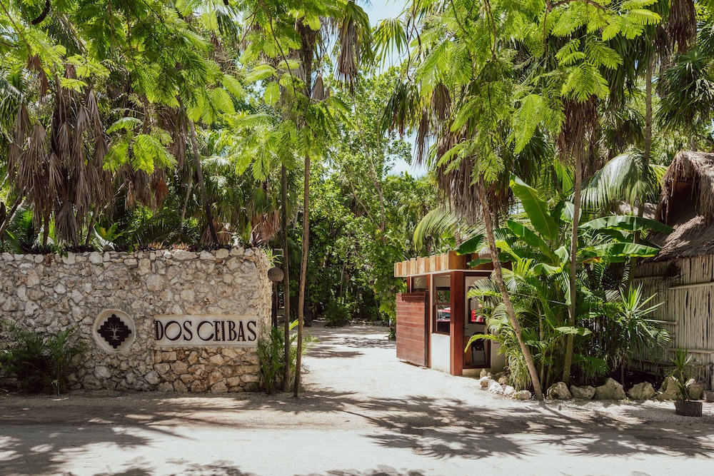 Hotel Dos Ceibas Eco Retreat Tulum 45/50