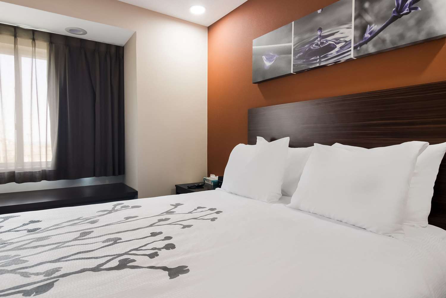 Sleep Inn Erie near Sports Center 19/44