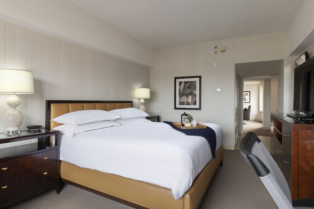 Suite, King Bed
