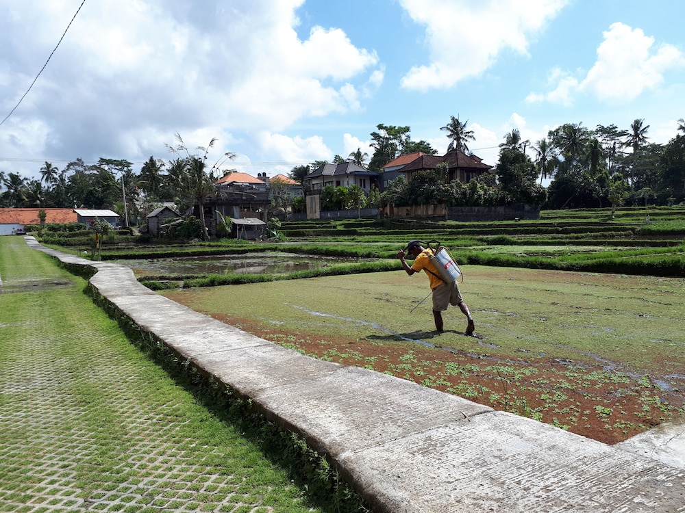 Villa Kirani Ubud 18/30