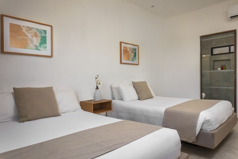 Terrasse Hotel Playa del Carmen 14/67