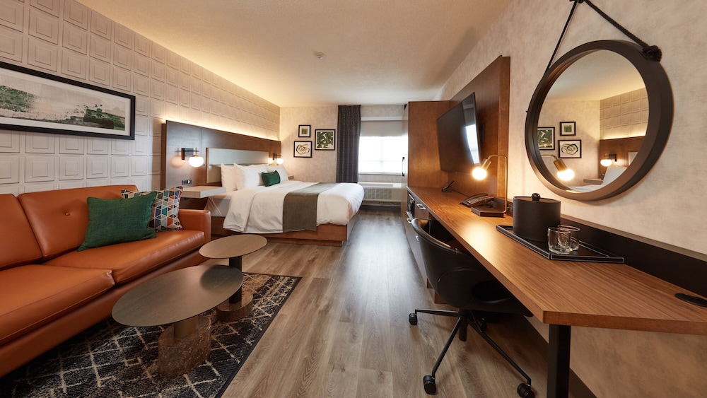 Stay Inn 36/66