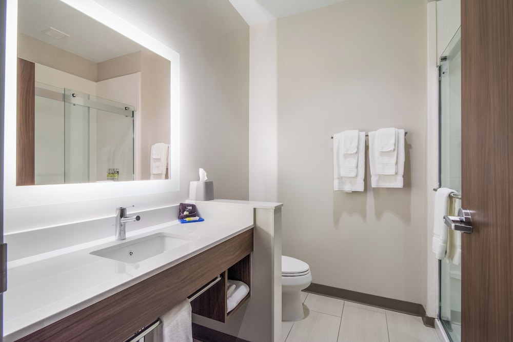 غرفة قياسية بسرير كينج بحوض استحمام لذوي الإعاقة، Holiday Inn Express and Suites Asheboro 3/4