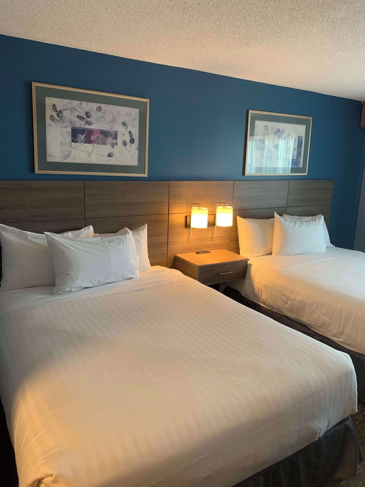 Standard, 2 Queen Beds, Beach Front, Pet Friendly, Balcony