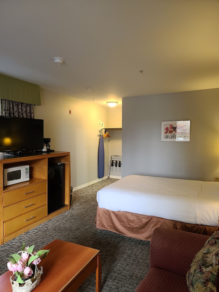 Tulip Inn 5/32