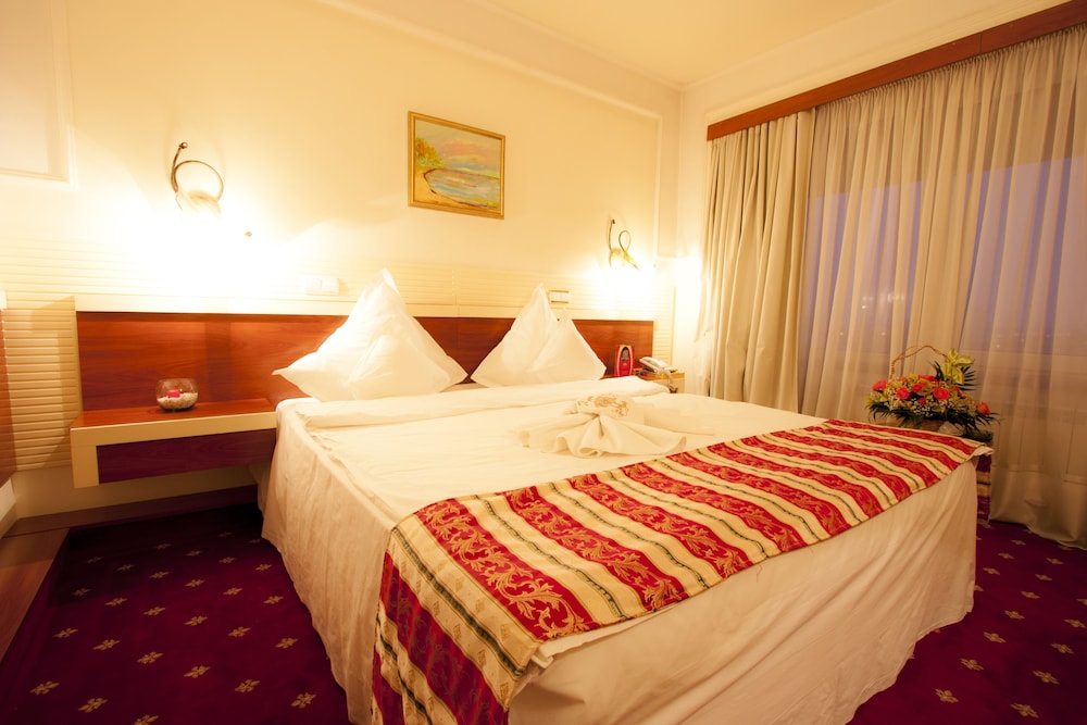Prahova Plaza Hotel 6/35