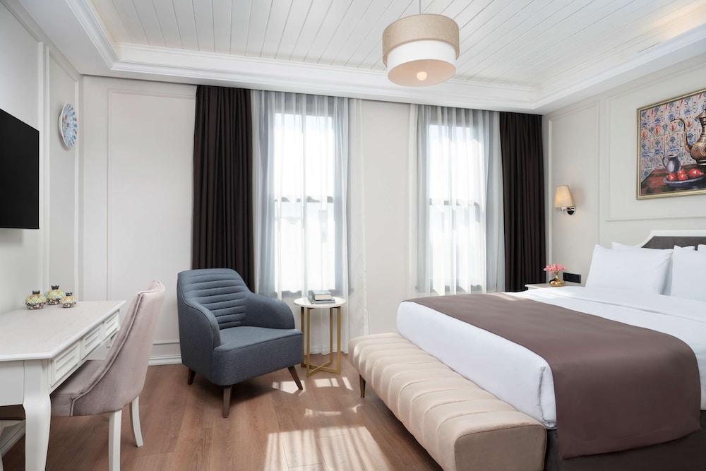 Royan Hotel Hagia Sophia Istanbul, A Member of Radisson Individuals 12/50