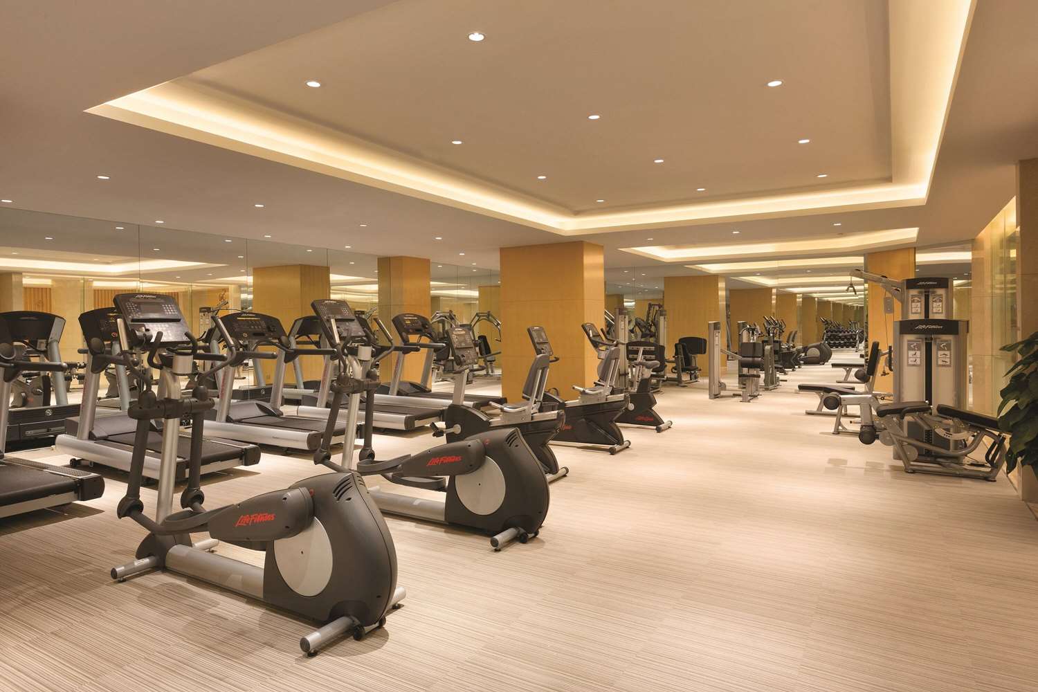Wyndham Urumqi North 8/33