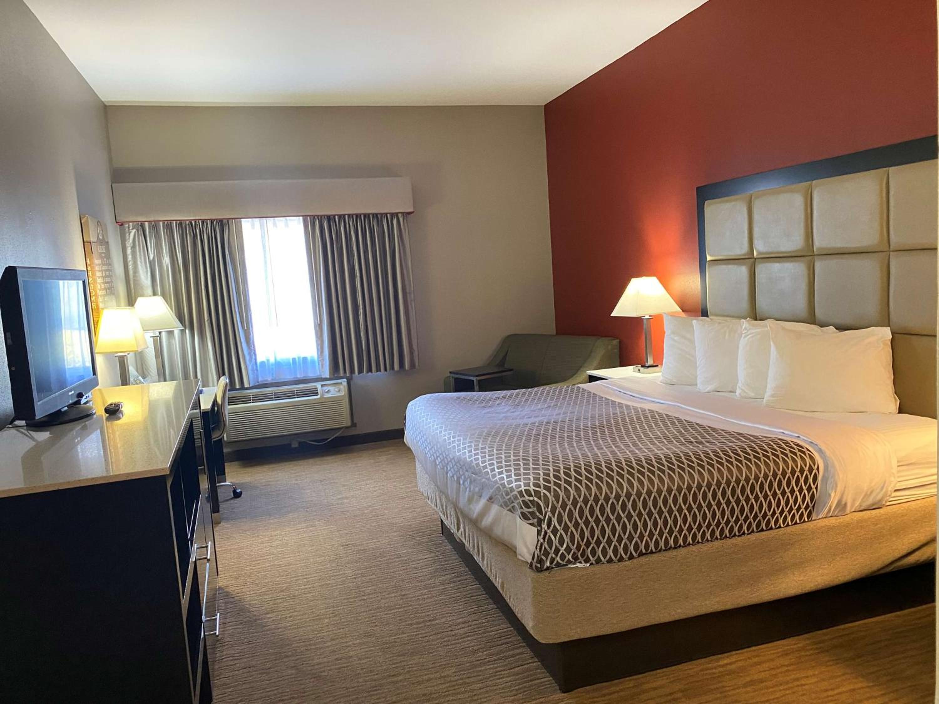 Room, King Bed