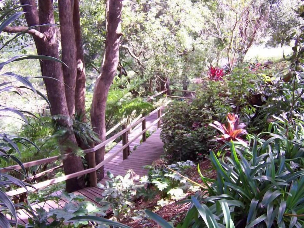 The Falls Rainforest Cottages 26/30