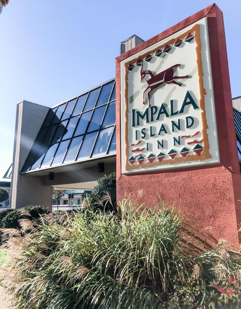 Impala Island Inn 1/34