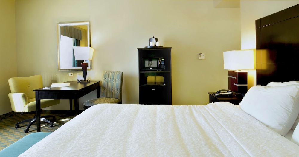 Hampton Inn Gadsden-Attalla I-59 11/28