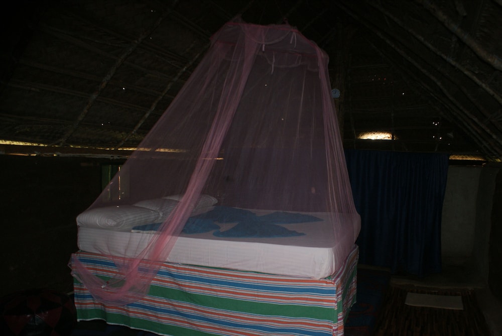 Jungle House Yala 19/50