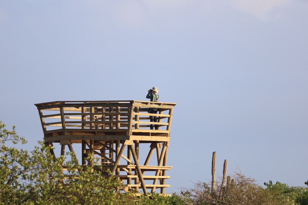 Awatawaa Ecolodge 1/50