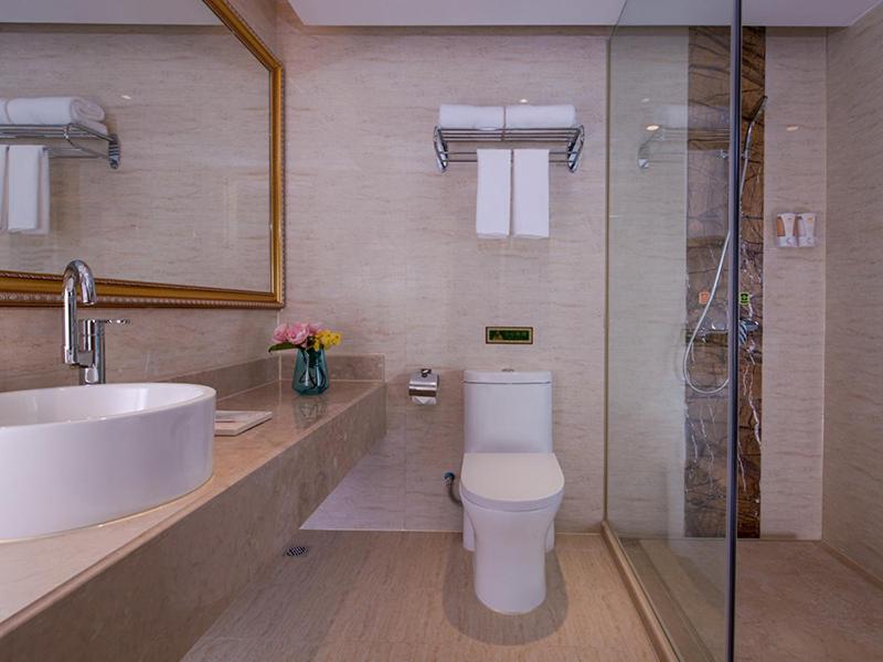 Vienna Hotel (Shenzhen Luofang) 37/37