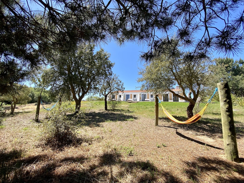 Monte Do Zambujeiro 83/115