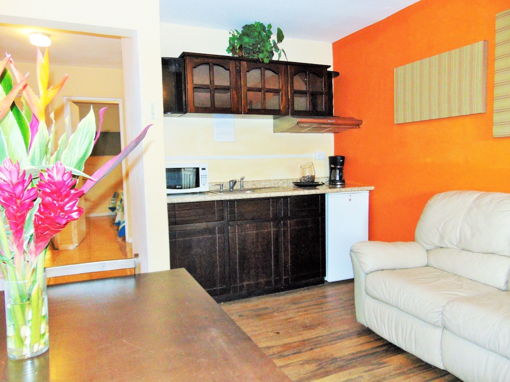 Casa Lima Bed & Breakfast 1/50