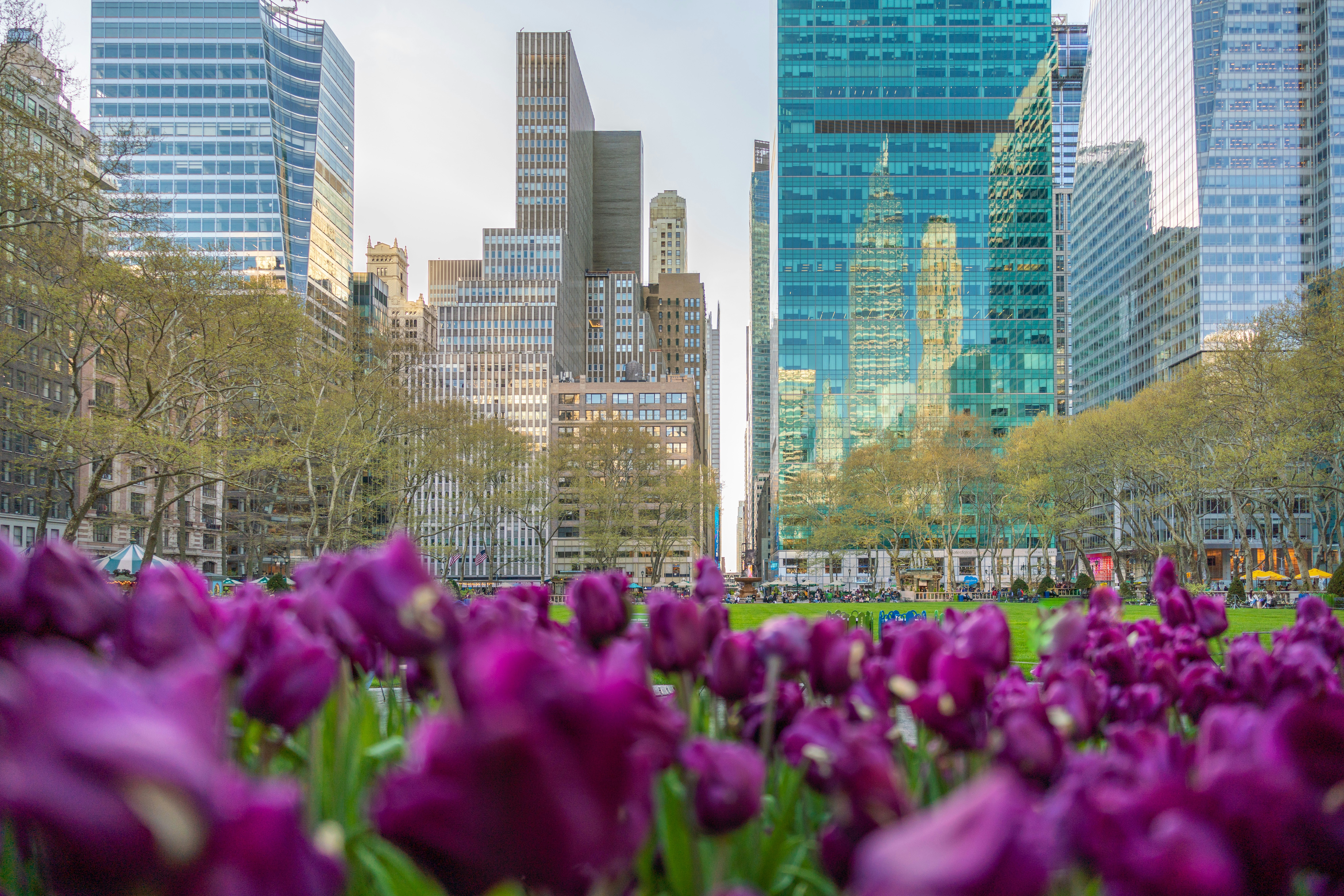 Kimpton Era Midtown New York By Ihg 46/47