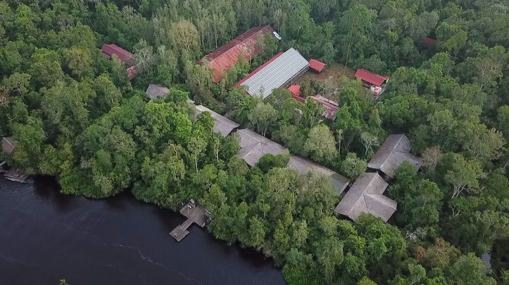 Rimba Orangutan Eco Lodge 37/43