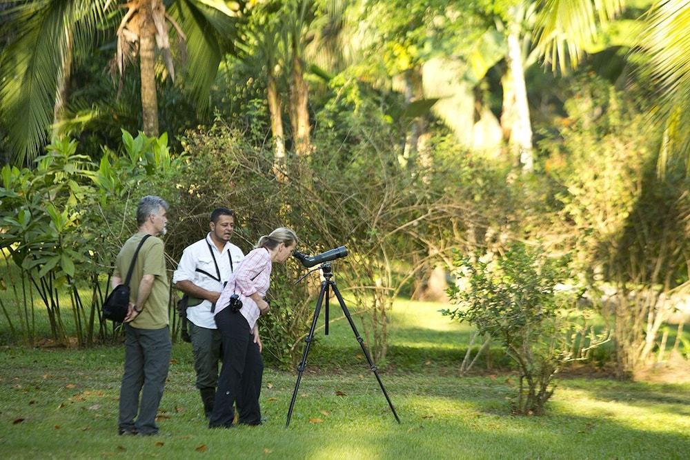 Bosque del Cabo Rain Forest Lodge 31/42